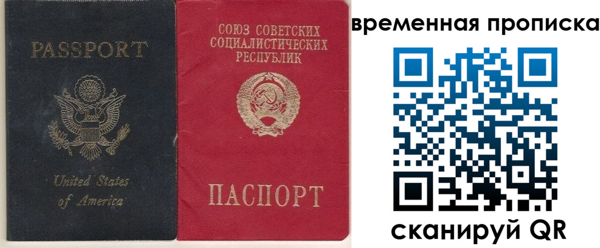 прописка для школы в Ефремове